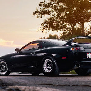 Meet your Posher, Brady